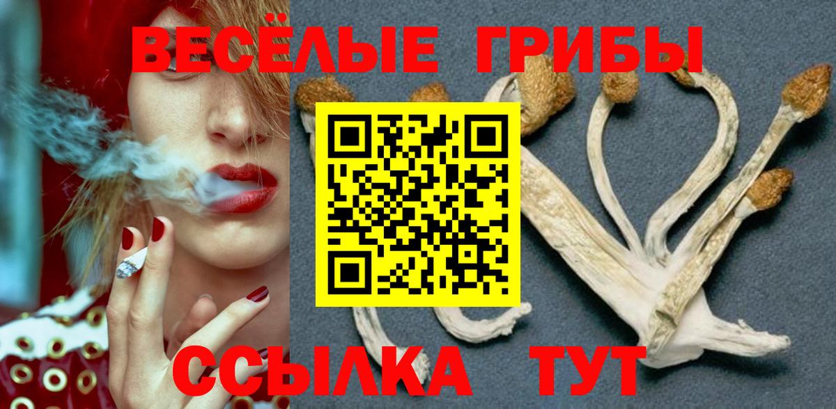 Псилоцибиновые грибы ЛСД Бутурлиновка